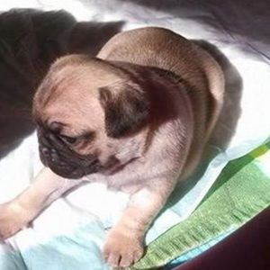 Meet your Posher, Kristin